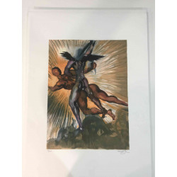 Salvador Dali Lithografie off set 50x70 cm gecertificeerd