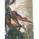 Salvador Dali Lithografie off set 50x70 cm gecertificeerd