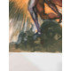Salvador Dali Lithografie off set 50x70 cm gecertificeerd