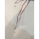 Litografía Salvador Dali off set 50x70 cm certificada