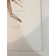 Salvador Dali Off set lithograph cm 50x70 certified