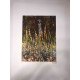 Claude Monet lithographie hors set 50x70 cm