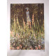 Claude Monet lithographie hors set 50x70 cm