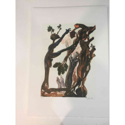 Salvador Dalí Litografía off set 50x70 cm certificado