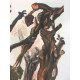 Salvador Dalí Litografía off set 50x70 cm certificado