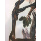 Salvador Dalí Litografía off set 50x70 cm certificado