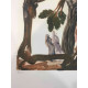 Salvador Dalí Litografía off set 50x70 cm certificado