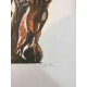 Salvador Dalí Litografía off set 50x70 cm certificado