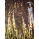 Claude Monet lithographie hors set 50x70 cm