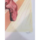 Salvador Dalí Litografía off set 50x70 cm certificado