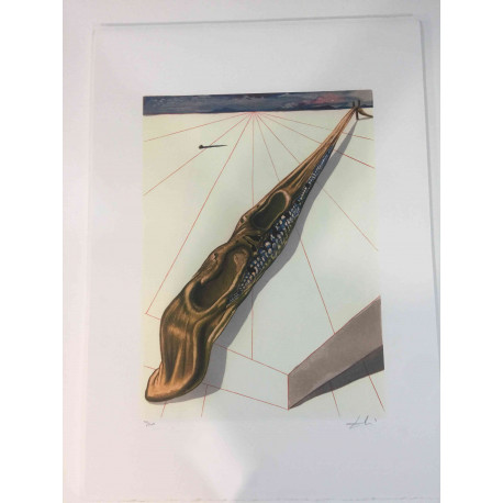 Litografická súprava Salvador Dali certifikovaná 50x70 cm