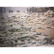 Claude Monet lithograph off set 50x70 cm