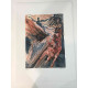 Salvador Dali Off set lithograph cm 50x70 certified