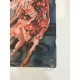 Salvador Dali Off set lithograph cm 50x70 certified