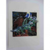 Litografia Mario Schifano off set 50x70 cm certificada