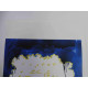 Mario Schifano Litografia off set 50x70 cm certificat