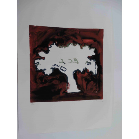 Mario Schifano Off set lithograph cm 50x70 certified