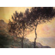 Claude Monet lithograph off set 50x70 cm