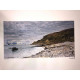 Claude Monet litho off set 50x70 cm