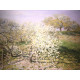 Claude Monet lithograph off set 50x70 cm