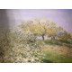 Claude Monet lithograph off set 50x70 cm