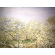 Claude Monet lithograph off set 50x70 cm