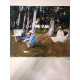 Claude Monet litho off set 50x70 cm
