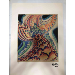 Frantisek Kupka Lithographie Offset 50x70 cm zertifiziert