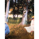 Claude Monet litho off set 50x70 cm