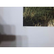 Claude Monet litografia offset 50x70 cm