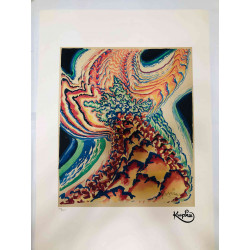 Frantisek Kupka Lithographie Offset 50x70 cm zertifiziert