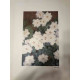 Claude Monet litografia offset 50x70 cm