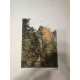 Set de litografia de Claude Monet 50x70 cm