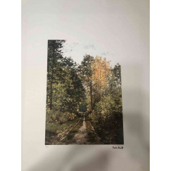 Set de litografia de Claude Monet 50x70 cm