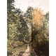 Set de litografia de Claude Monet 50x70 cm