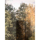 Set de litografia de Claude Monet 50x70 cm