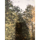 Set de litografia de Claude Monet 50x70 cm