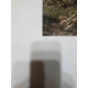 Set de litografia de Claude Monet 50x70 cm