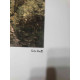 Set de litografia de Claude Monet 50x70 cm