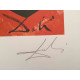 Salvador Dali Tarot serie Lithografie off set 50x70 cm gecertificeerd