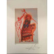 Salvador Dali Tarot series Off set lithograph cm 50x70 certified