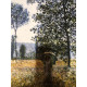 Claude Monet lithograph off set 50x70 cm