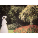 Claude Monet lithograph off set 50x70 cm