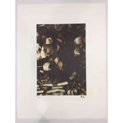Fernand Léger Litografía off set 50x65 cm certificada