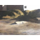 Edward Hopper Off set lithograph cm 57x38 certified