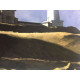 Edward Hopper Off set lithograph cm 57x38 certified