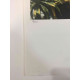 Edward Hopper Off set lithograph cm 57x38 certified