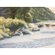 Edward Hopper Off set lithograph cm 57x38 certified