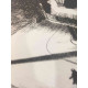 Edward Hopper Off set lithograph cm 57x38 certified