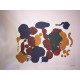 Man Ray Litografia off set cm 50x65    certificata